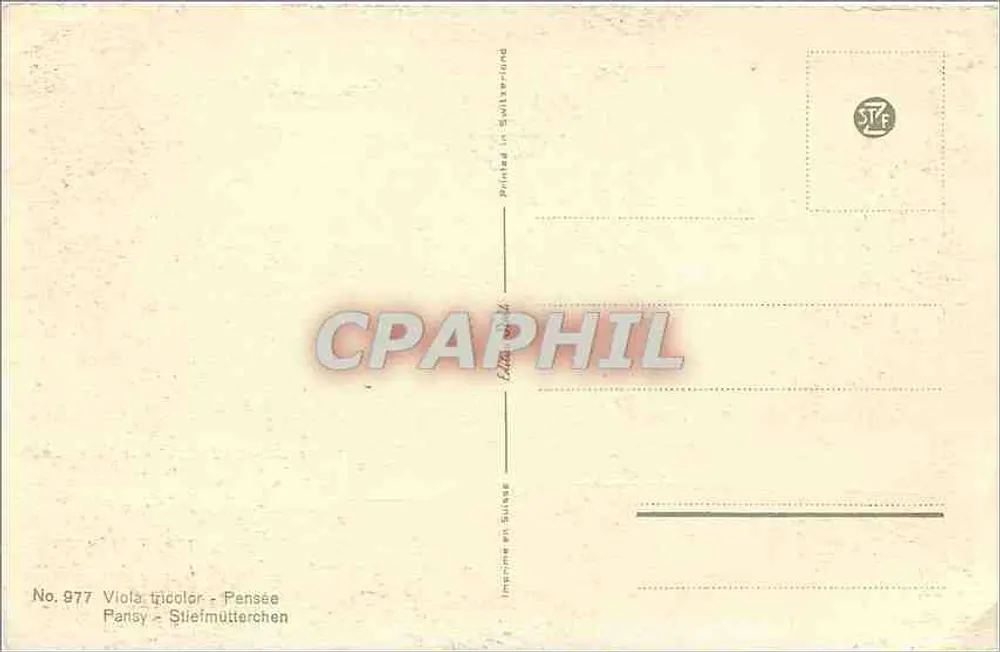 पैंसी — पीले और बैंगनी विविधताएं — स्विटजरलैंड में मुद्रित, संख्या 977 - पीछे