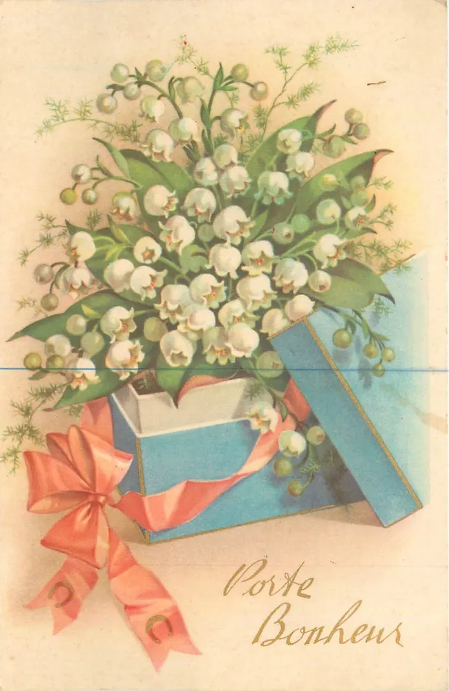 Muguet — em uma caixa azul com laço rosa — editor não visível - Frente