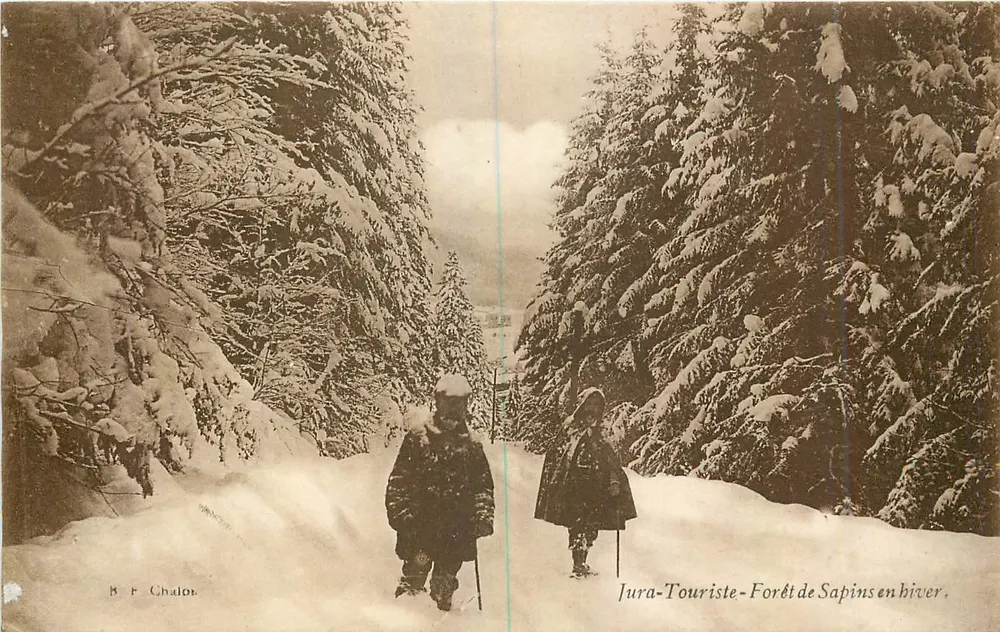 Jura-Tourist — Tannenwald im Winter — B F Chalot - Vorderseite