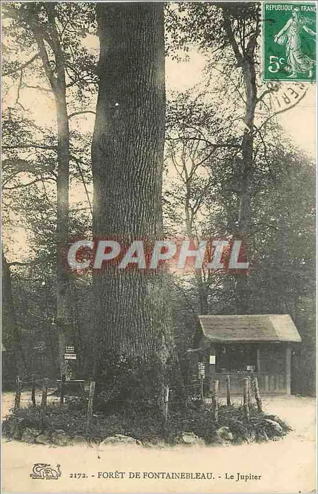 Floresta de Fontainebleau — O Jupiter — Editor: n° 2172 - Frente