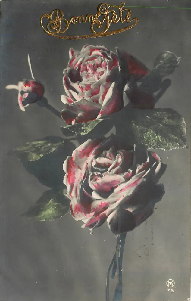Rosas — Boa Festa — editor L. K. n° 75 - Frente