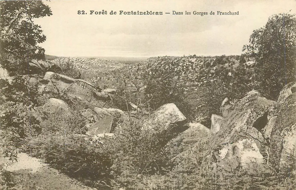 Forêt de Fontainebleau — Dans les Gorges de Franchard — Imp. Phisionomie L. Régnard - Fontainebleau - Recto