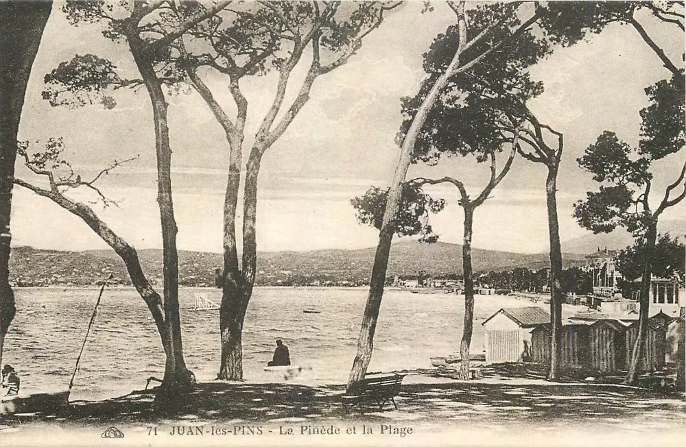 Juan-les-Pins - La Pinède et la Plage — n° 71 - Recto