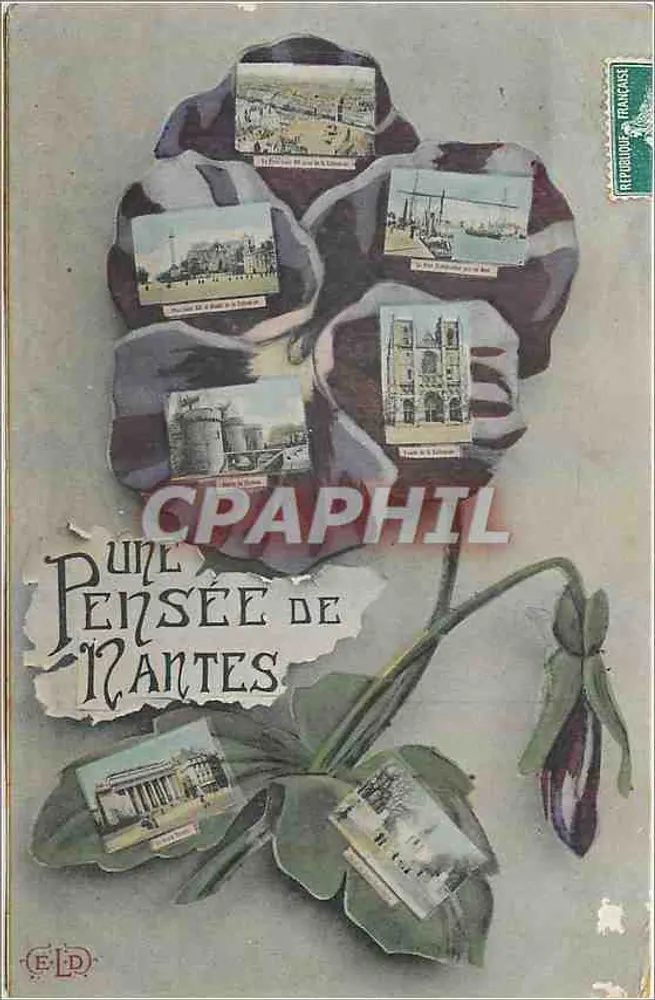 Une Pensée de Nantes — carte postale décorée d'une fleur de pensée contenant des vignettes de lieux nantais — éditeur F.D. (imprimé en bas à gauche) — n° de série non visible - Frente