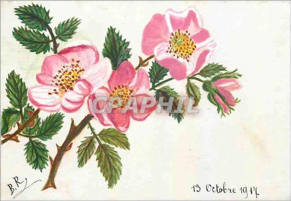 Flores de rosas — desenho a água-forte — B.R. — datada 13 Outubro 1914 - Frente