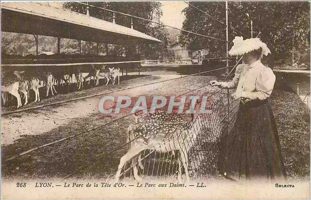 LYON — Le Parc de la Tête d'Or — Le Parc aux Daims — LL. — SELECTA — n° 268 - Recto
