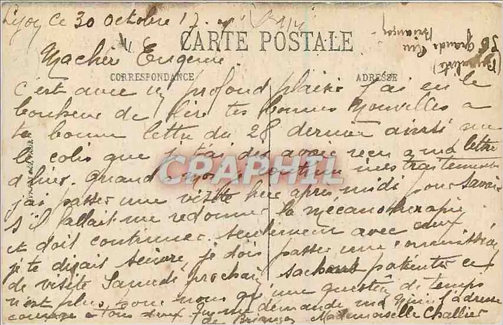 LYON — Le Parc de la Tête d'Or — Le Parc aux Daims — LL. — SELECTA — n° 268 - Verso