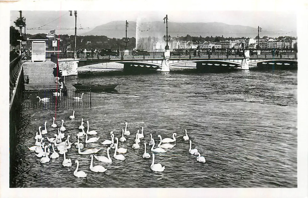 Genf — See Léman und der Jet d'Eau — Éditions J. Cellard, Lyon - Vorderseite