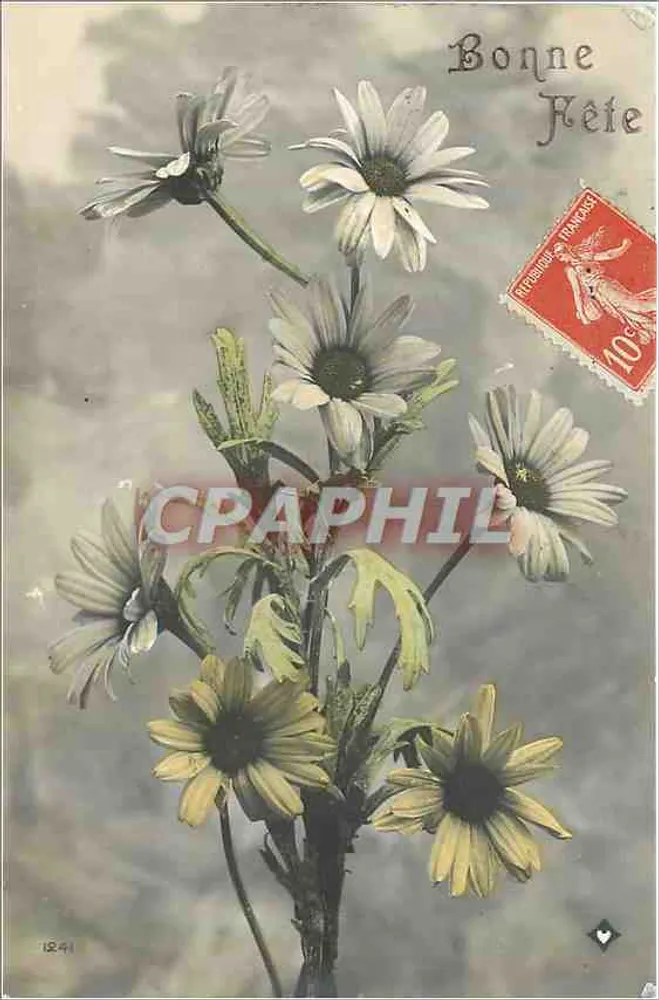 Bouquet margriet — Gelukkige verjaardag — Onbekende uitgever, serie nummer 1841 - Voorkant