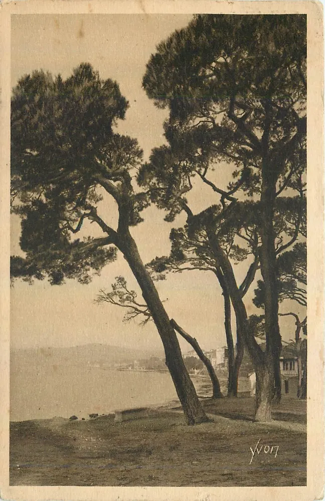 Juan-les-Pins — Vista dos pinheiros — Edição de act YVON - Frente