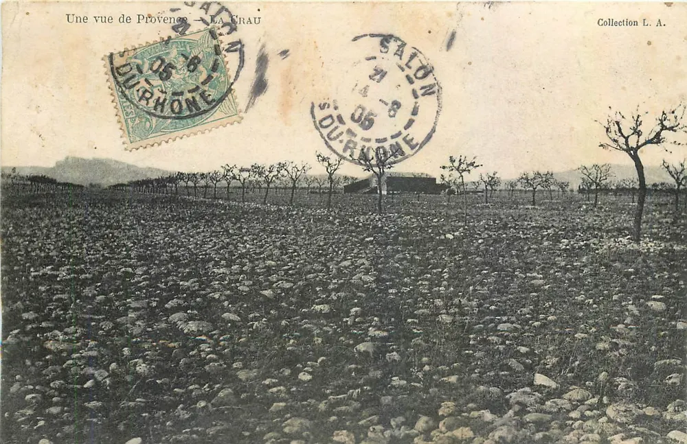 Visão da Provência — La Crau — Coleção L. A. - Frente