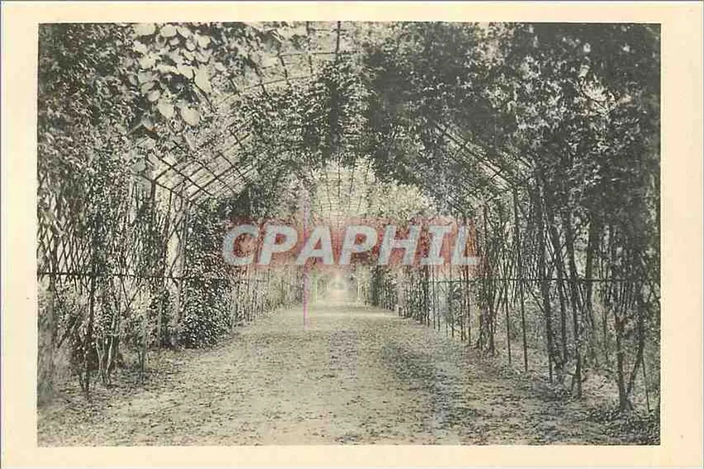 Schattenspendende Weinrebenallee am Château de Compiègne — Edition des Musées Nationaux - Vorderseite
