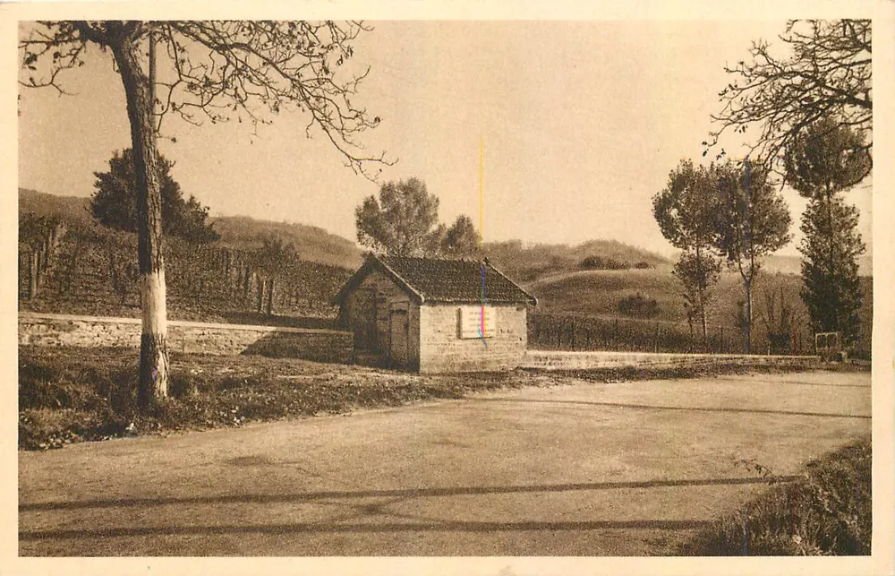 Arbois-Montigny (Jura) — Der historische Weinberg von Pasteur — Éditions E. Protet, Dole (Jura) - Vorderseite