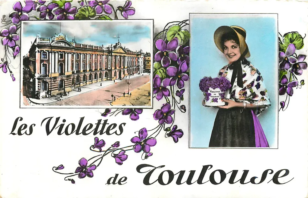 As Violetas de Toulouse — Editor Pyr. Oréan, n°552 - Frente