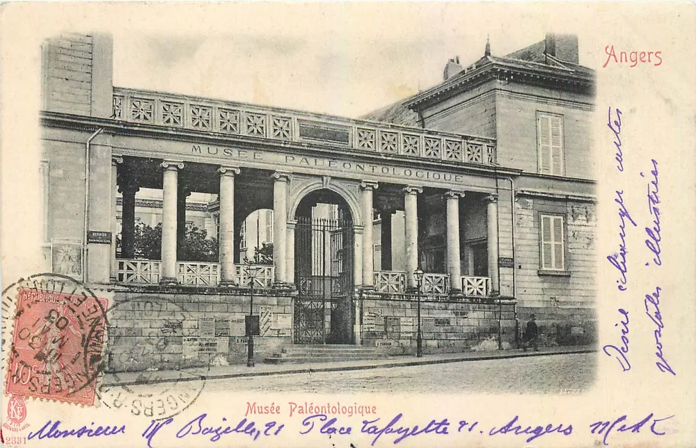 Museu Paleontológico — Angers — editor anônimo, número de série não visível - Frente