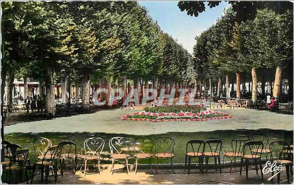 Les Allées ombragées dans le Parc des Sources — Vichy (Allier) — Éditeur Elee - Recto