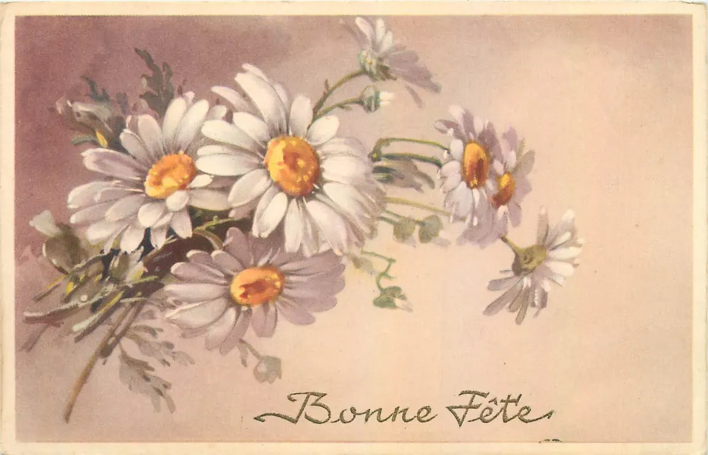 Bouquet de marguerites — Bonne Fête — editor G.B. Génin, n° especial - Frente