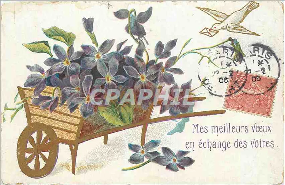 Violets dans un chariot — Paris, 1908 — éditeur non visible - Recto