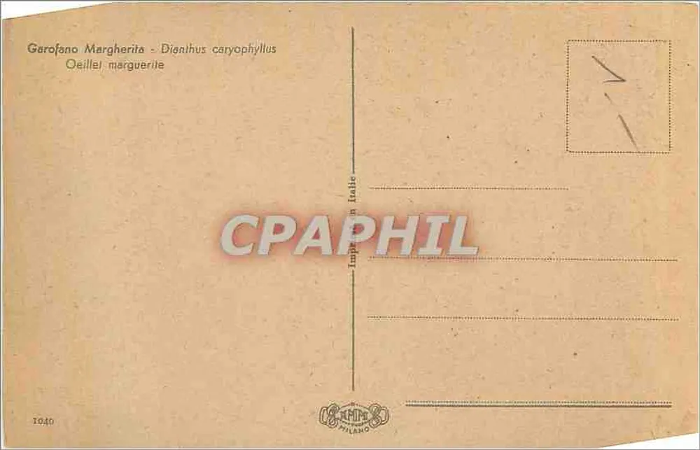 Géraniro Margarida — Dianthus caryophyllus — Impressão na Itália, n°1040 - Verso