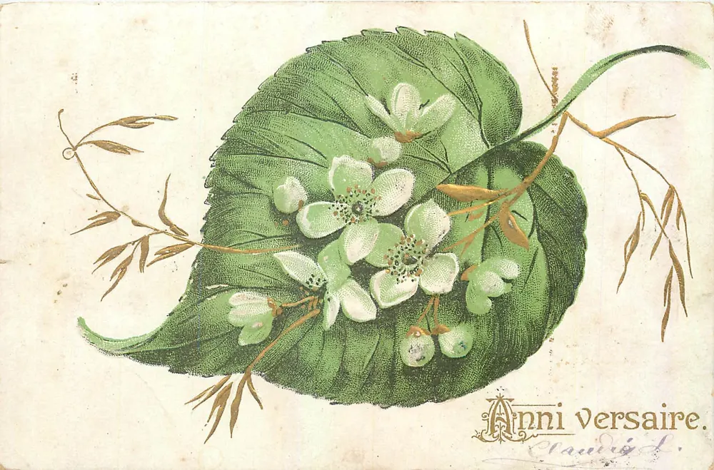 Fleurs blanches sur feuille verte — éditeur Anni Versaire - Frente