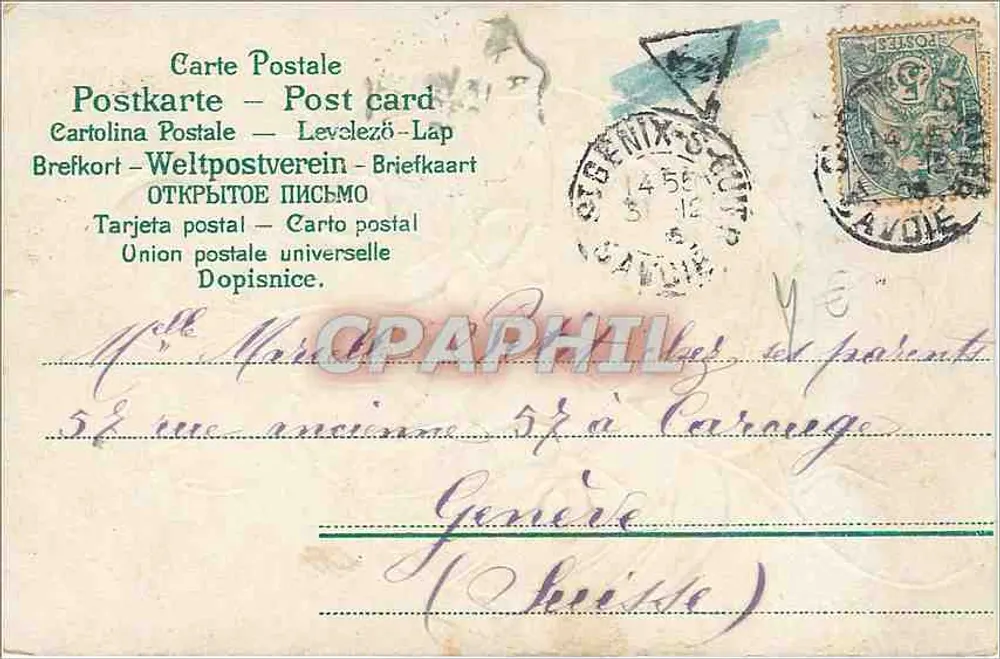 Fleurs blanches sur feuille verte — éditeur Anni Versaire - Verso