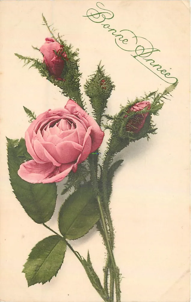 Bouquet de roses — Bonne Année — wydawca nieodczytelny - Awers
