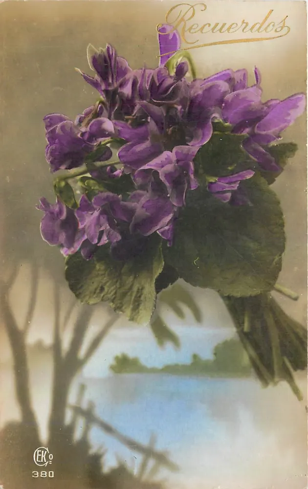Arranjo de violetas — editor CEKo, n° 380 - Frente