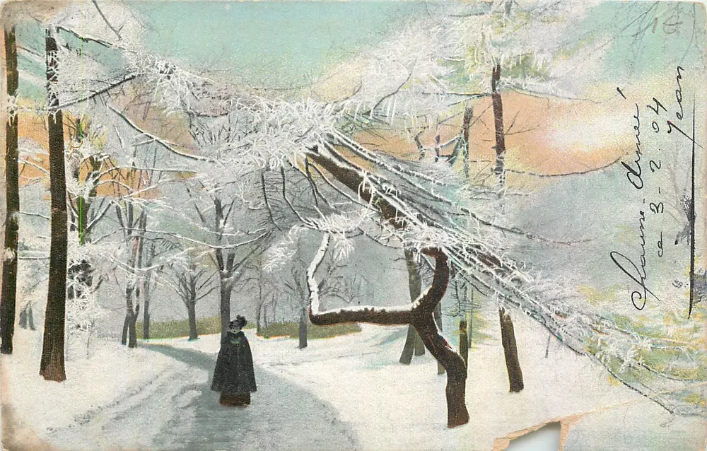Floresta nevada — cena invernal — série 906, editor não identificado - Frente