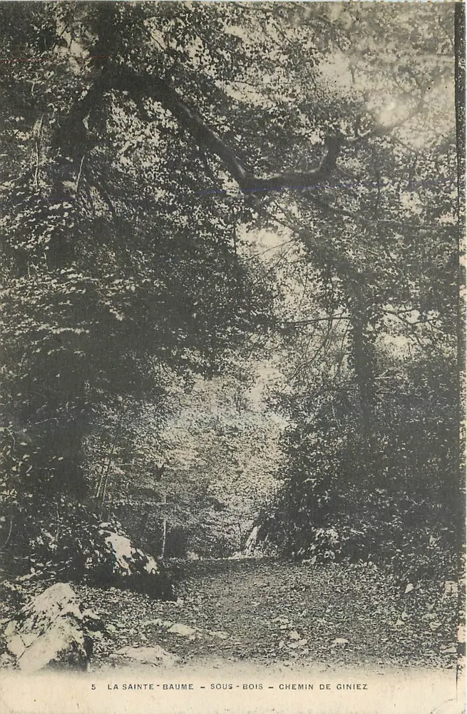 La Sainte-Baume - Sous-Bois - Chemin de Giniez — Éditeur : Établissements d'Impressions Phototypiques, Toulon, n°5 - Recto