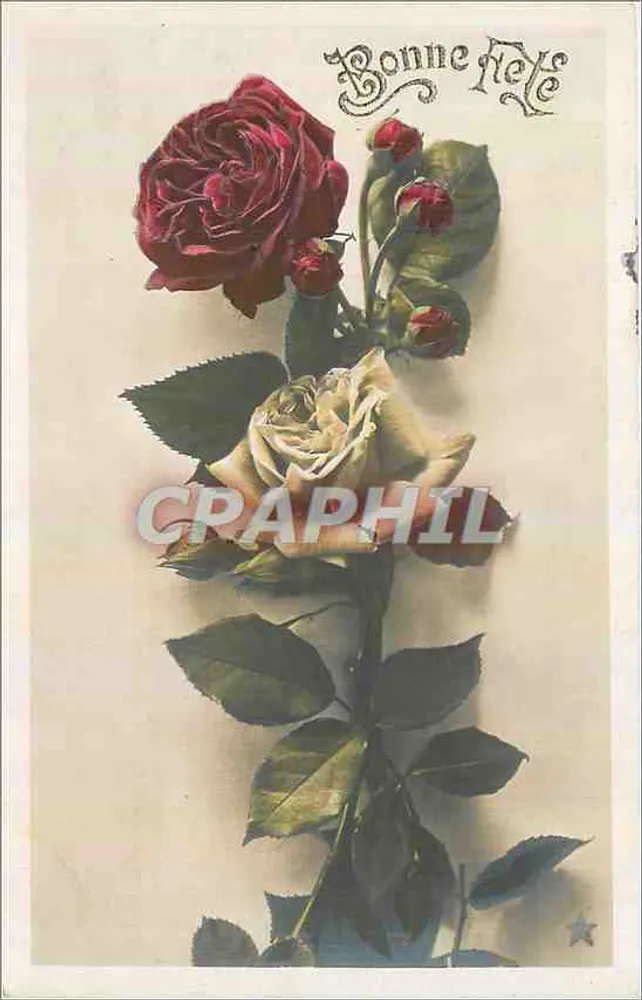 Roses — Bonne Fête — Series No. 4146, Publisher Eclair, Paris - Front