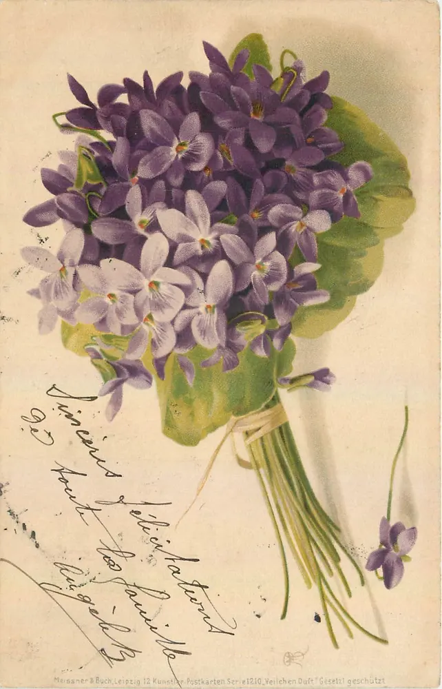 Arranjo de violetas — série 1210, editor Meissner & Buch, Leipzig - Frente