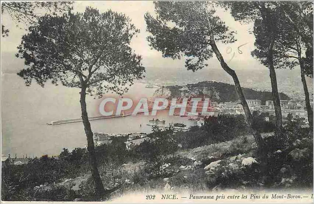 NICE — Panorama pris entre les Pins du Mont-Boron — 202 - Recto