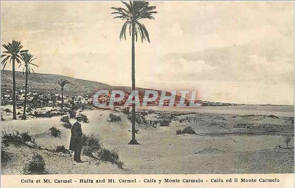 Haïfa e Monte Carmel — vista panorâmica com palmeiras — editor desconhecido, número de série não visível - Frente