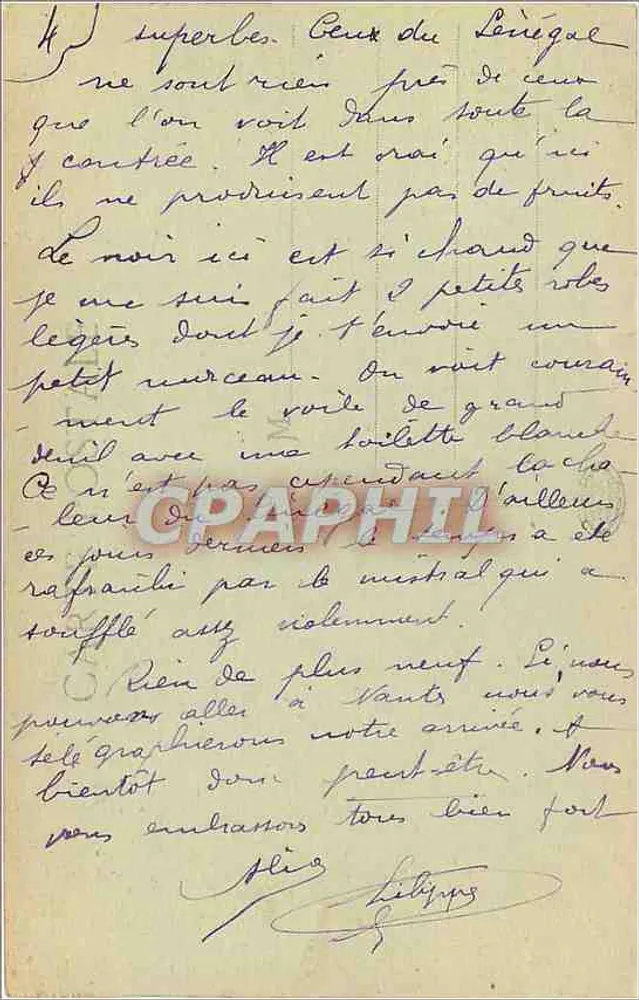 CANNES - Vue prise entre les Aloès — éditeur inconnu, n° 554 - Verso
