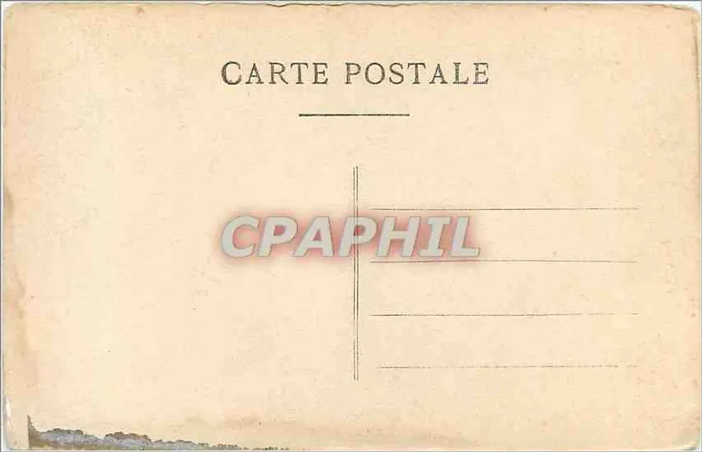 Buquê de violetas em um cesto — Aniversário — Carta postal - Verso