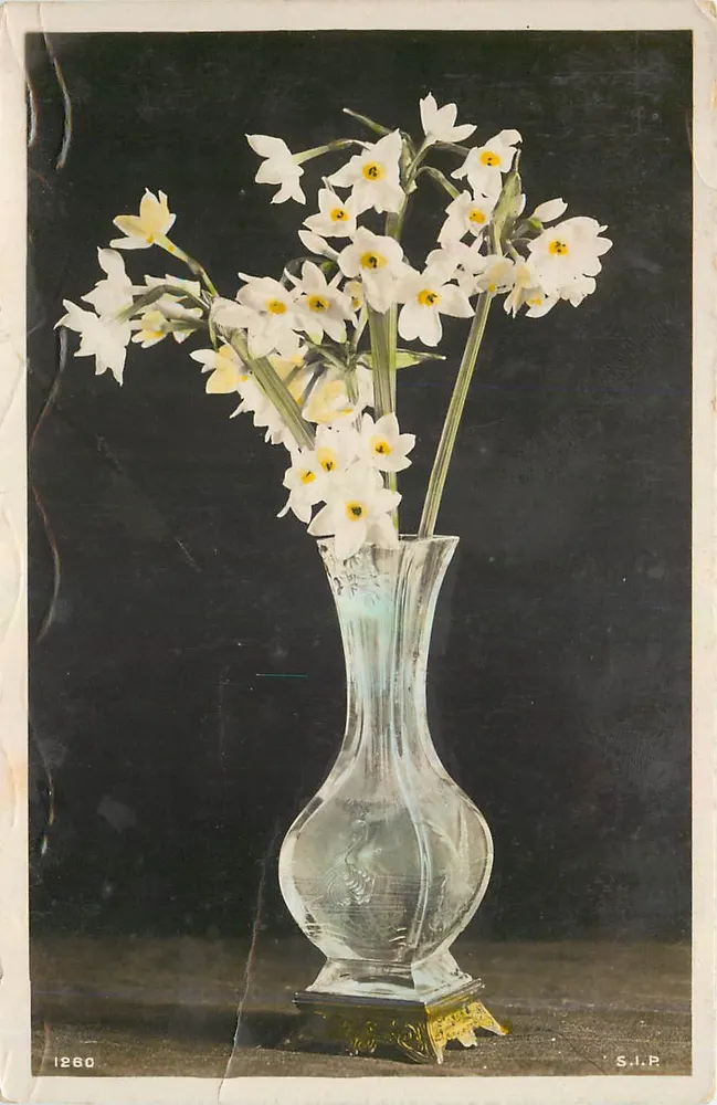 Narcisos em um vaso de vidro — S.I.P. n° 1260 - Frente