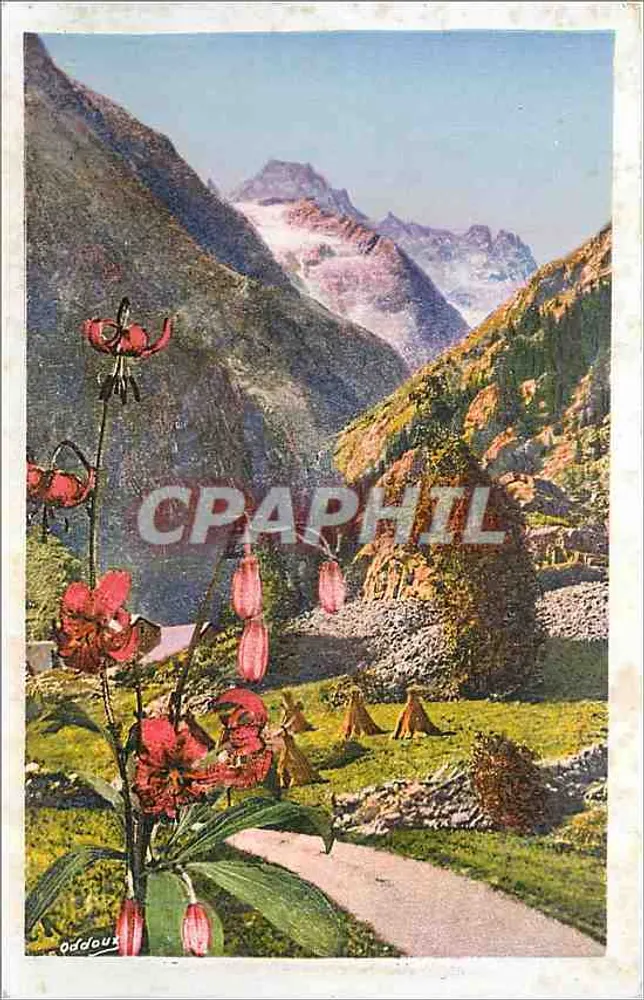 Lilás vermelhos em um paisagem alpina — montanhas nevadas — editor S.A.R.L. FOUSETTE-CHARRON-DES-GOUTTES, Grenoble - Frente