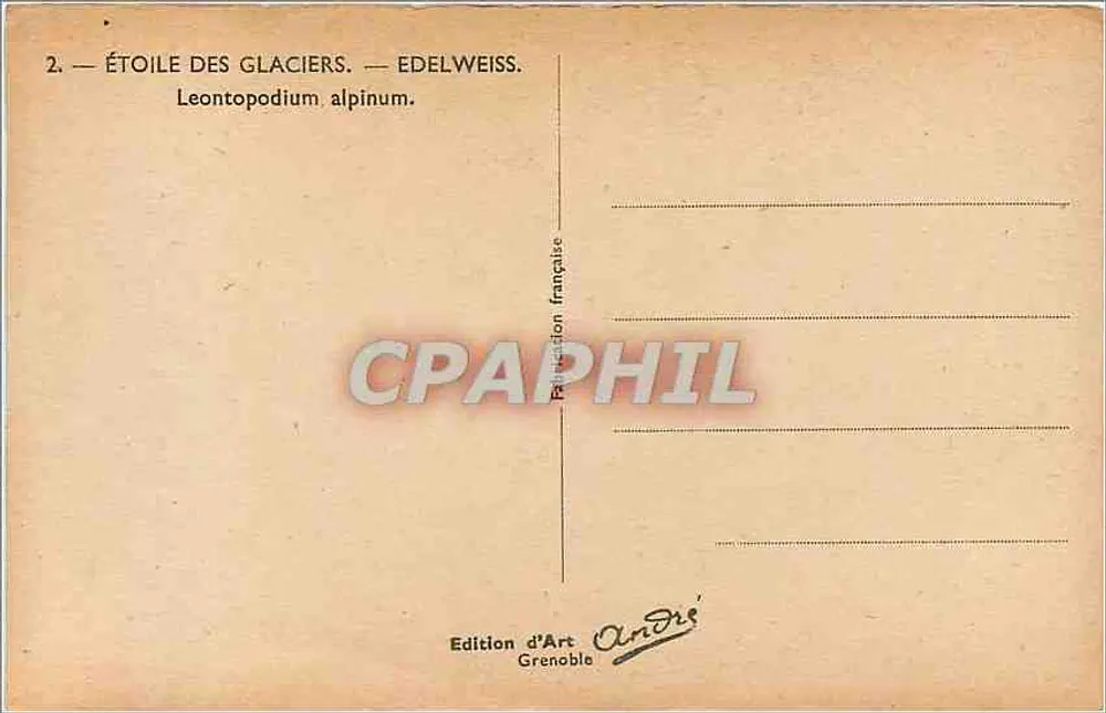 Gwiazda lodowców — Edelweiss — Leontopodium alpinum — Wydawnictwo Sztuki Grenoble - Rewers