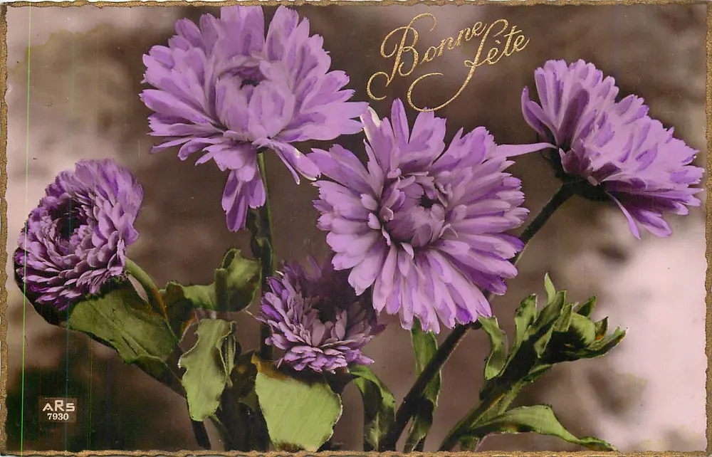 Flores violetas — Boa festa — ARS 7930 - Frente