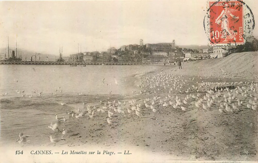 CANNES — The Seagulls on the Beach — LL. — SELECTA - Front