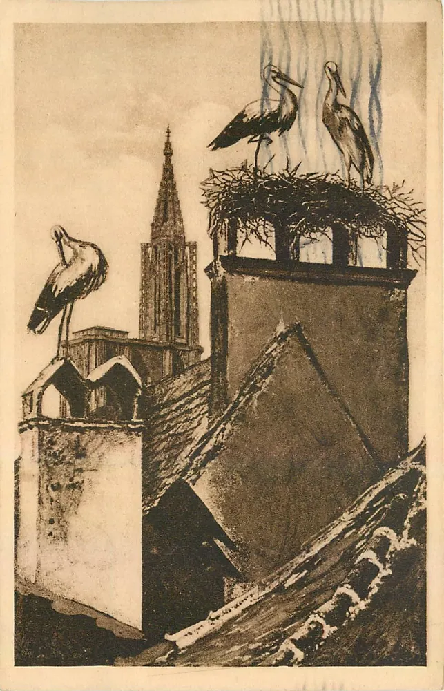 Strasbourg — Nid de cigognes — Fehs & Fils, éditeur - Frente