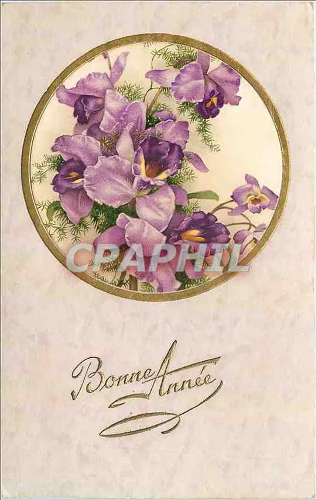 Orquídeas violetas — Carta de boas-vindas — Editor não identificado, número de série não visível - Frente