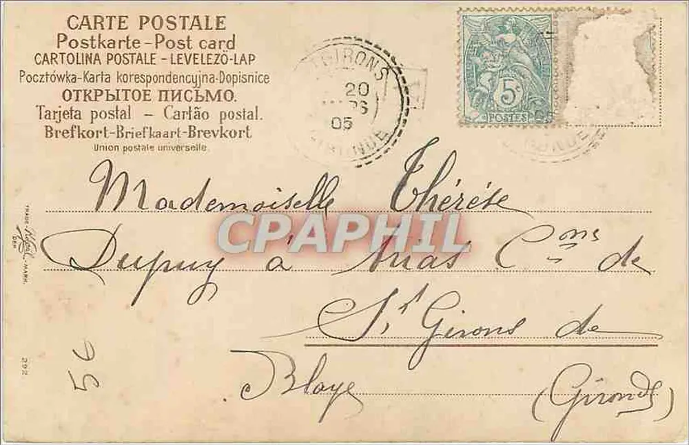 Ave e flores — texto poético — editor desconhecido - Verso