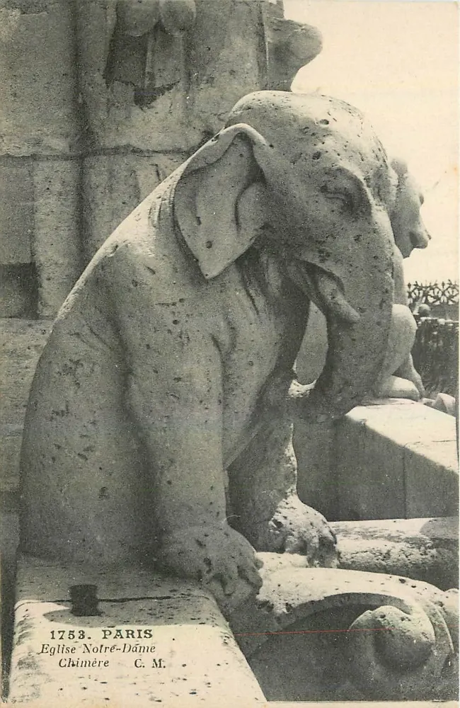 Chimère éléphant — Église Notre-Dame, Paris — C. M. n° 1753 - Recto