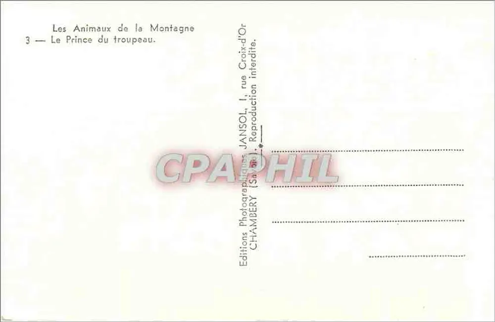 Der Prinz des Schafsgehirns — Croix-d'Or — Éditions Photographiques JANSOL, Chambéry - Rückseite
