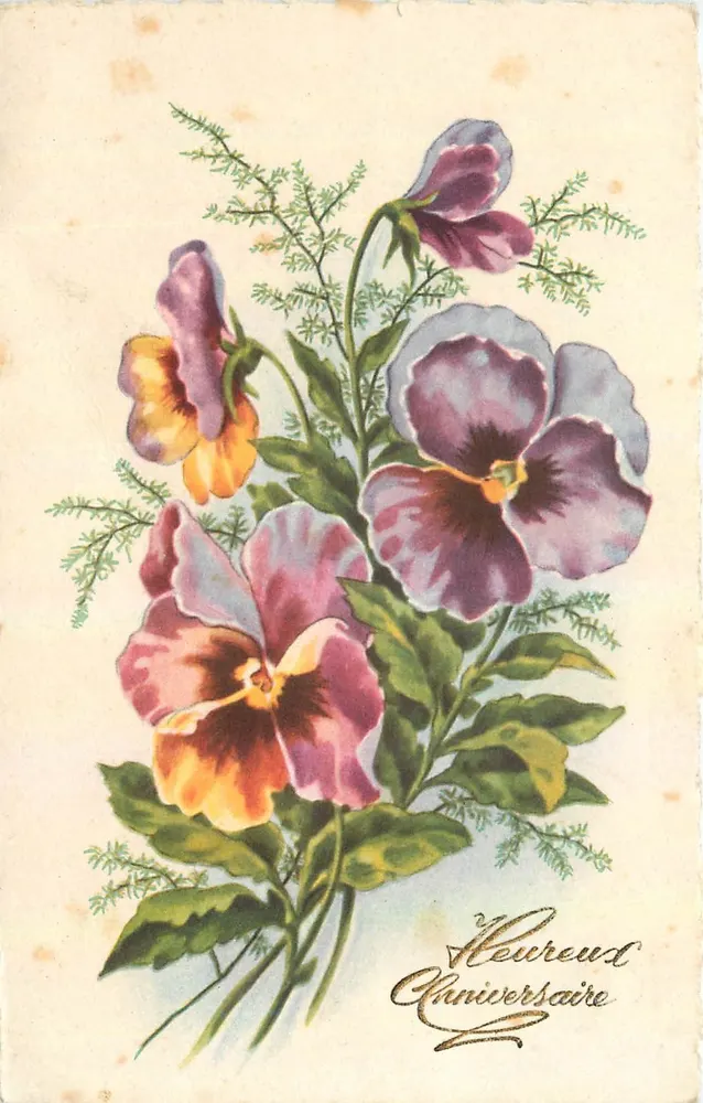 Flores de pensamento — Aniversário — editor desconhecido, número de série não visível - Frente
