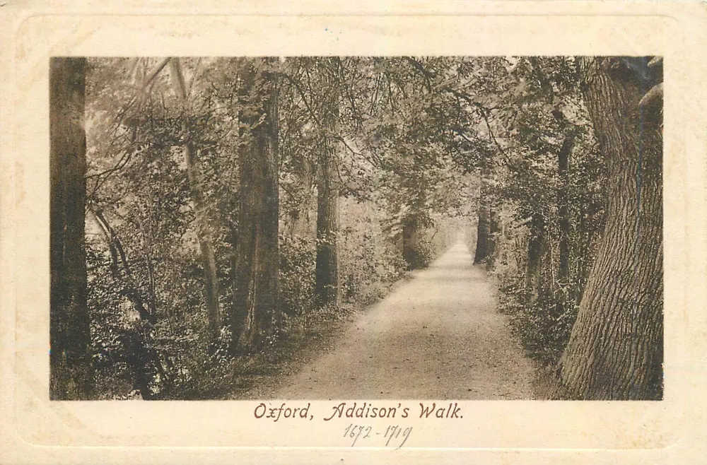 Oxford, Addison's Walk — promenade ombragée sous des arbres — éditeur Frith & Co. Ltd. (Séries Frith's, n° 40923) - Frente