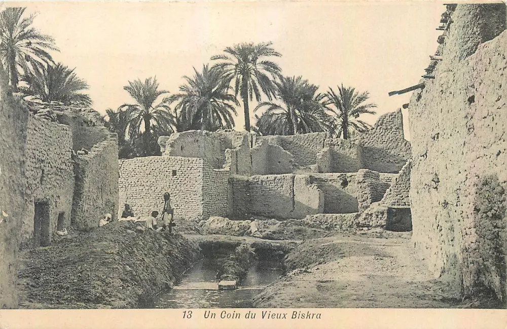Un Angolo del Vecchio Biskra — vista di rovine e palme — editore sconosciuto, n° 18 - Recto