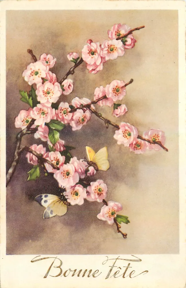 Flores de cerejeira e borboletas — Boa Festa — editor R.639 - Frente