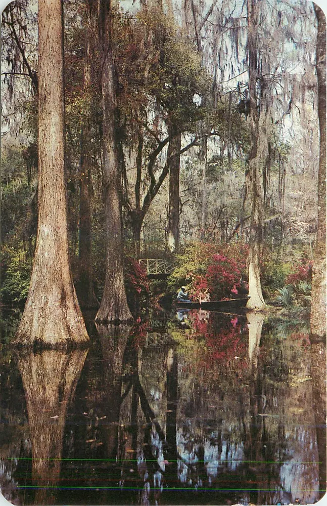Cypress Gardens — Like another World — um jardim de barcos — ao norte de Charleston, S. C. — Transcolor Corp. - Frente
